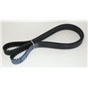 Distributieriem TD 173 tands