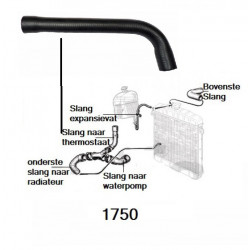 Radiateurslang 1750 naar thermostaat