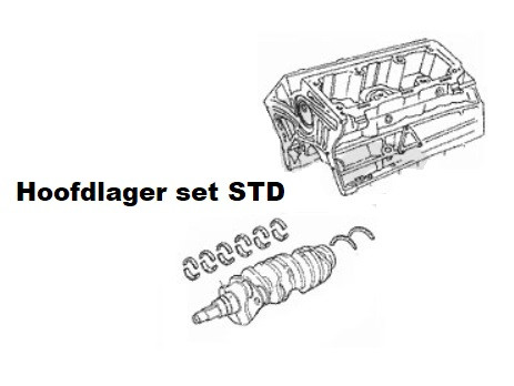 Hoofdlagerset V6 STD