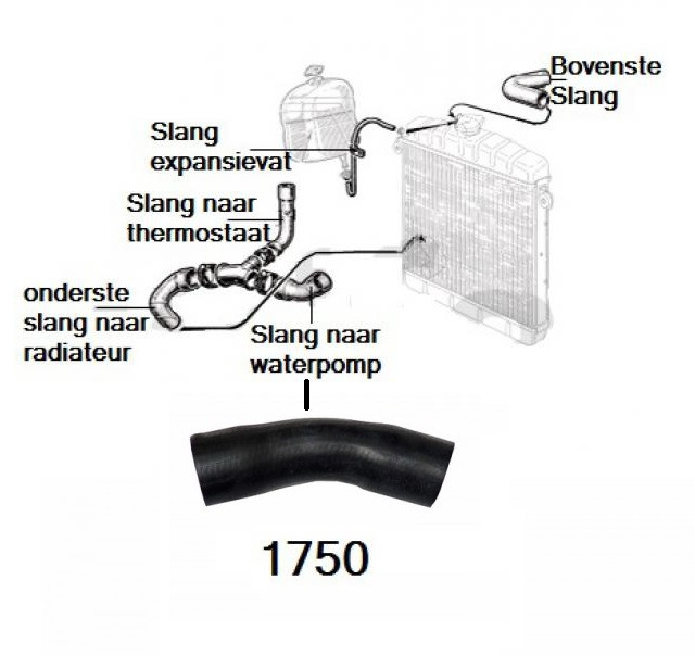 Radiateurslang 1750 naar waterpomp
