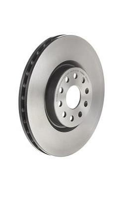 Remschijf 166 voor 310mm
