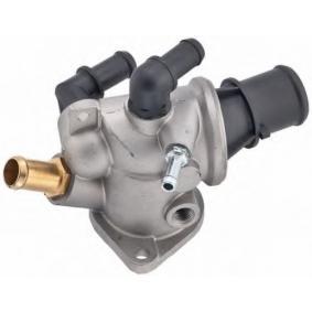 Thermostaat TS 16V (Step a)